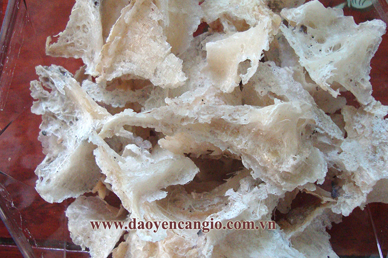 Chân yến có tốt không? Cách chưng chân tổ yến