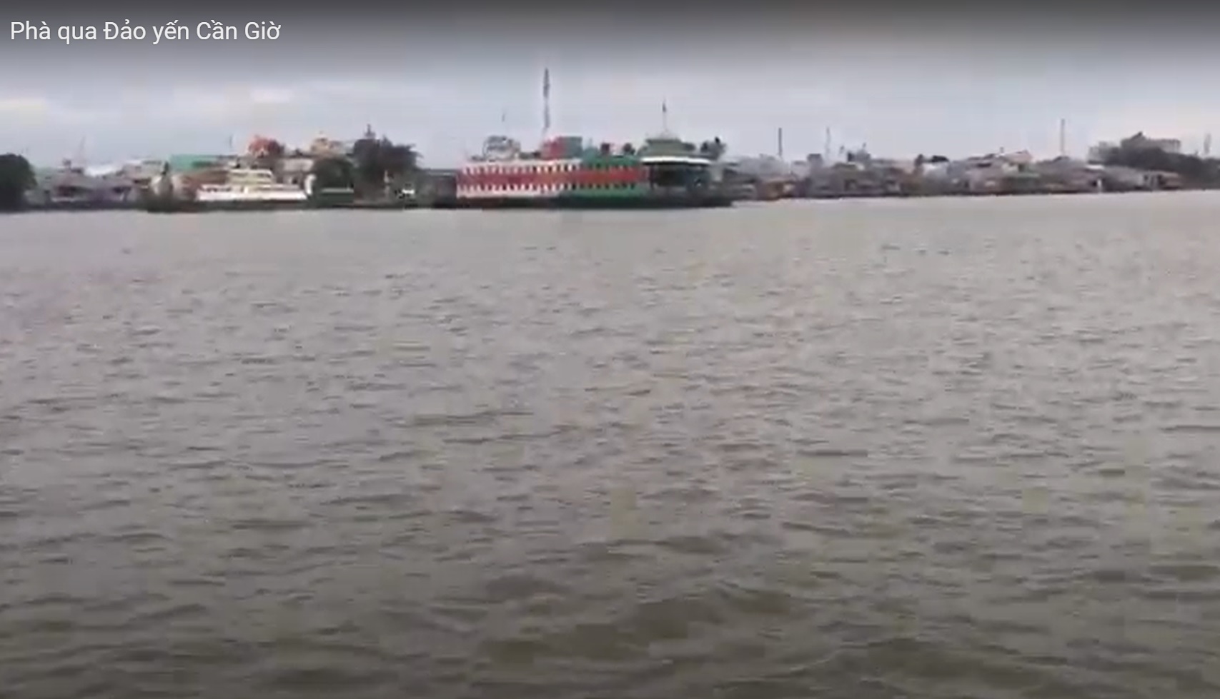 Du lịch Cần Giờ-phà qua Đảo yến Cần Giờ