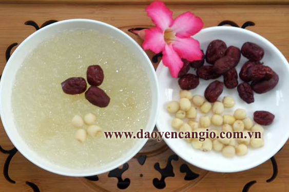 Thức ăn bổ phổi - Yến sào là lựa chọn hàng đầu