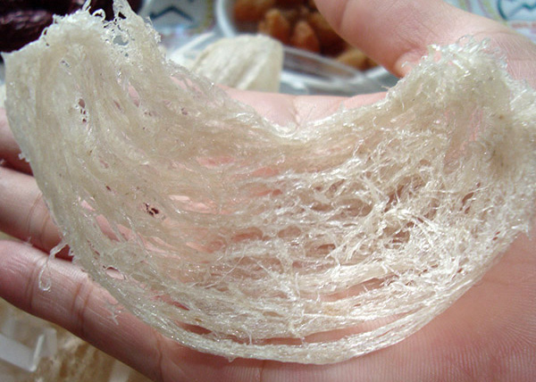 Yến rút lông không bụng là gì? Cận cảnh đập hộp yến rút lông không bụng cao cấp