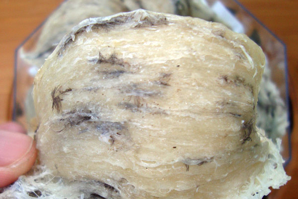 Yến thô bao nhiêu tiền 1 lạng? Mua yến thô ở đâu giá tốt?