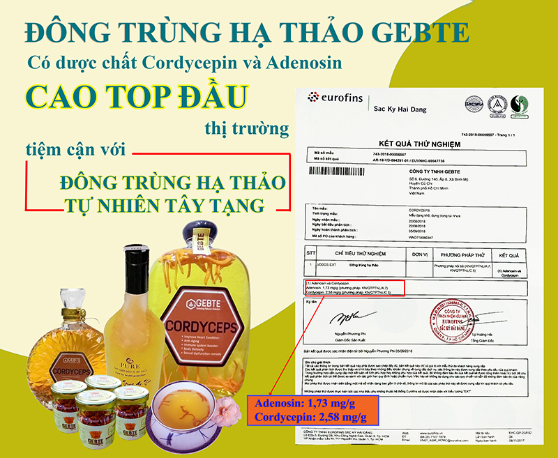 ĐÔNG TRÙNG HẠ THẢO CÓ TÁC DỤNG GÌ? HƯỚNG DẪN SỬ DỤNG ĐÔNG TRÙNG HẠ THẢO