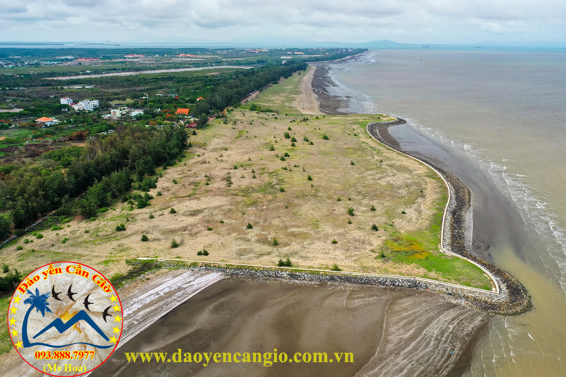 Yến đảo Cần Giờ - Chất lượng yến sào tại huyện đảo Cần Giờ