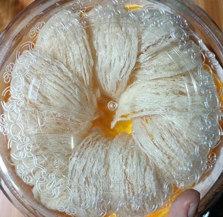 Nên mua yến sào loại nào?