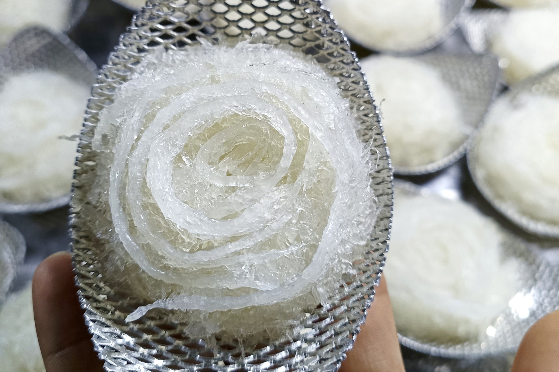 Yến tươi là gì?