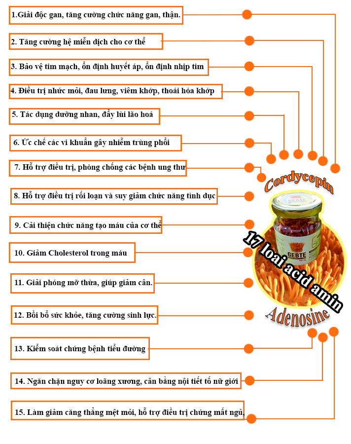 tác dụng của đông trùng hạ thảo