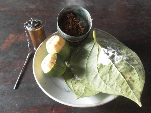 LỊCH SỬ Y HỌC VIỆT NAM  (từ buổi đầu dựng nước đến thời nhà Hồ)