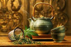 LỊCH SỬ Y HỌC VIỆT NAM (từ thời Hậu Lê đến thời Pháp thuộc)