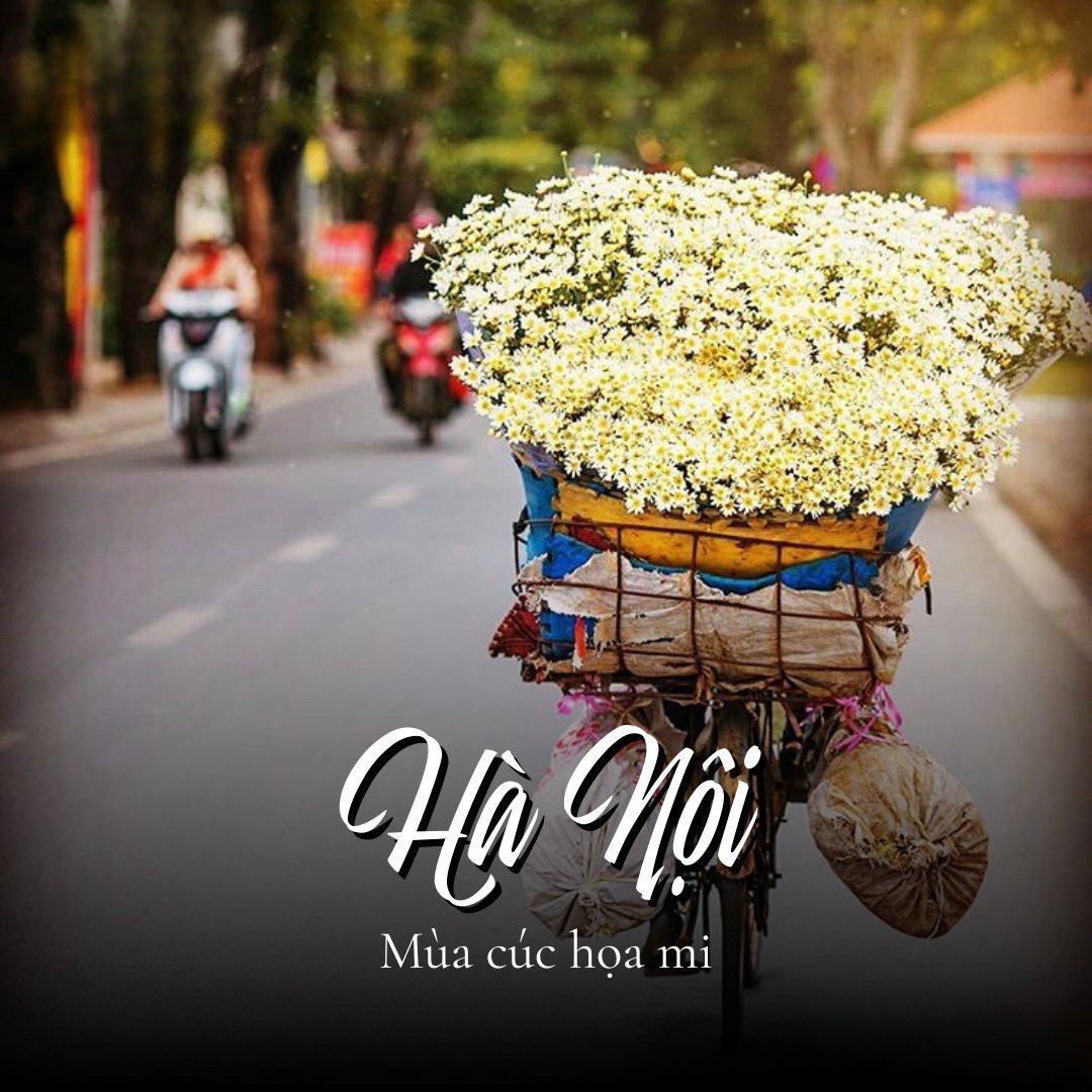 4N3Đ - HÀ NỘI - BÁI ĐÍNH, TRÀNG AN – HẠ LONG - YÊN TỬ - HÀ NỘI