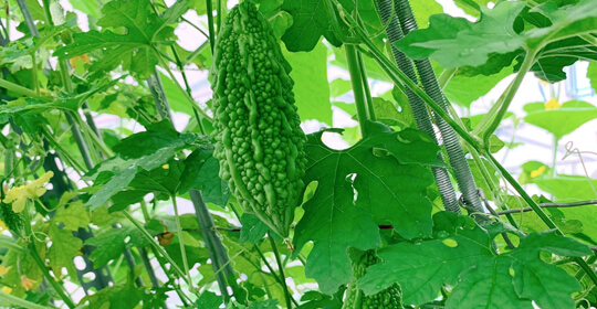 Sản phẩm nổi bật