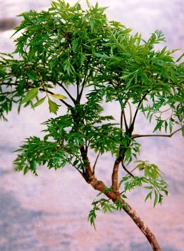 Sản phẩm nổi bật