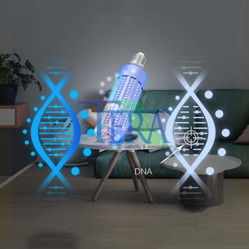 Các rủi ro tiềm ẩn của tia uv đối với chúng ta