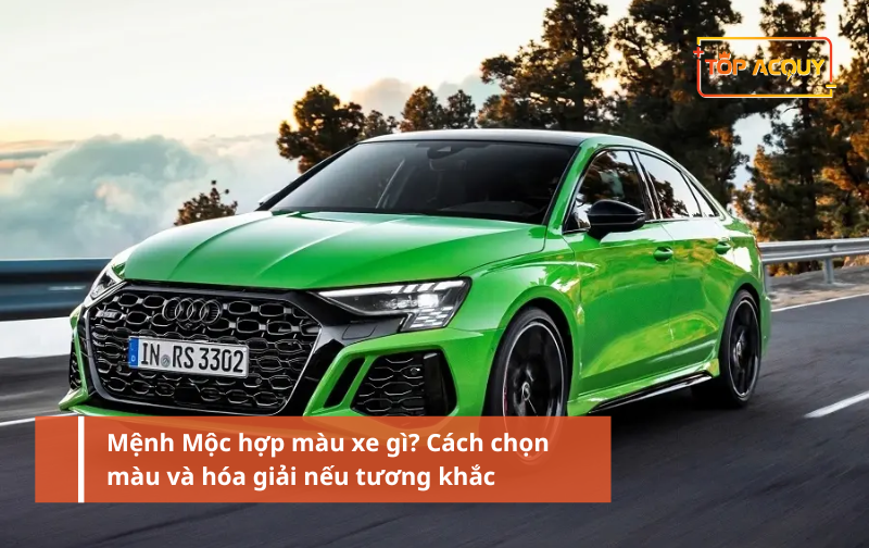 Mệnh Mộc hợp màu xe gì? Cách chọn màu xe đem lại may mắn và tài lộc