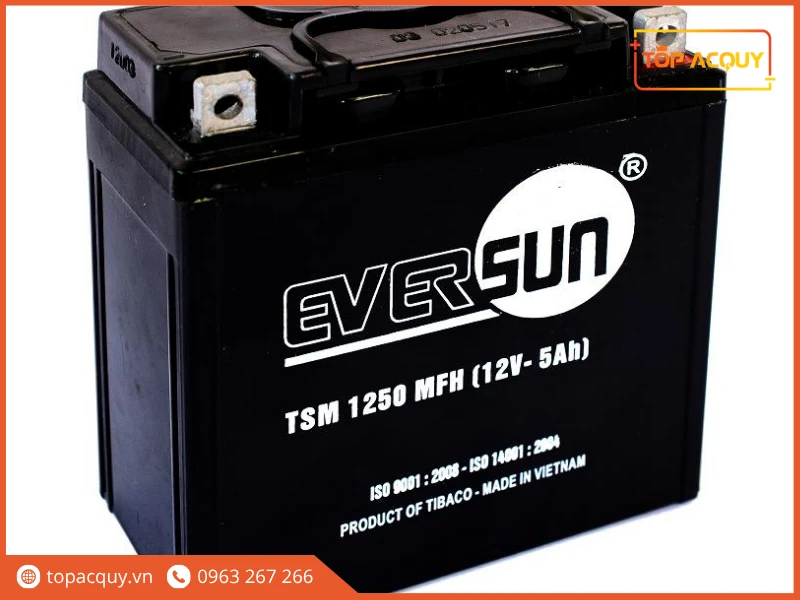 Bình ắc quy Eversun TSM 1250 MFH 12V 5Ah thiết kế kín khí