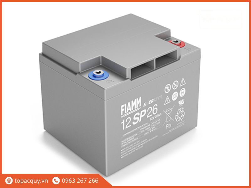 Ắc quy FIAMM SP