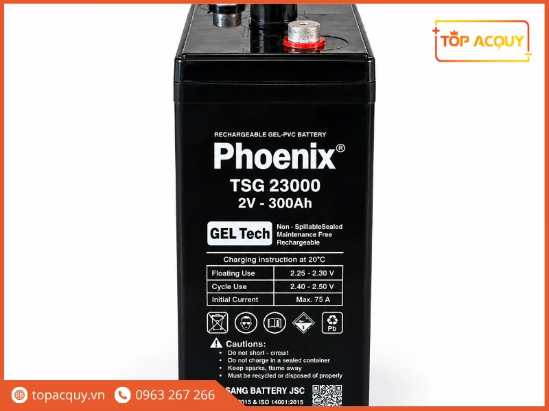 Ắc quy Phoenix TSG23000 2V 300Ah