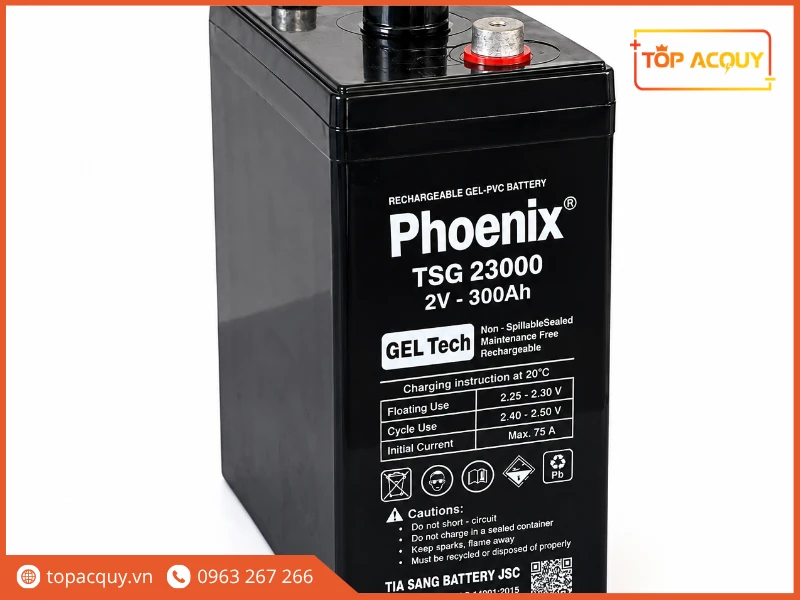 Chi tiết bình Phoenix TSG 23000 2V 300Ah