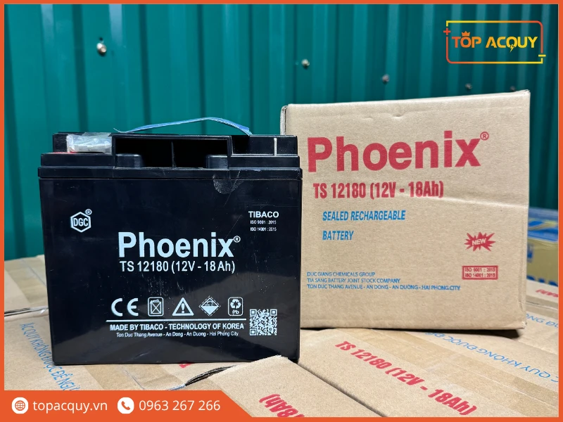 Trọn bộ bình và hộp ắc quy Phoenix TS12180 12V 18Ah chính hãng
