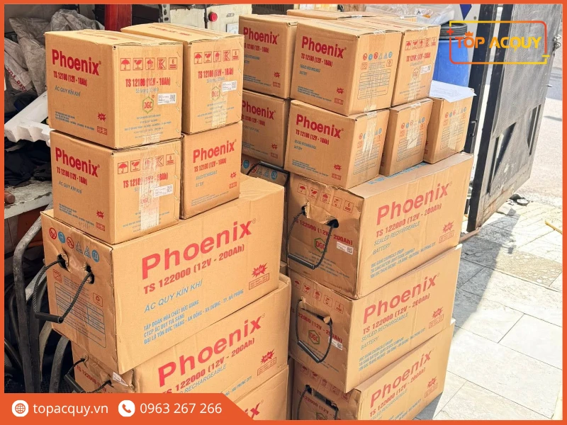 Pallet các thùng ắc quy Phoenix TS122000 12V 200Ah sẵn sàng tại kho