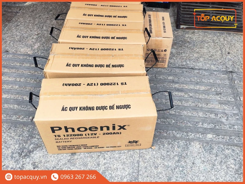 Lô thùng carton ắc quy viễn thông Phoenix TS122000 tại Topacquy