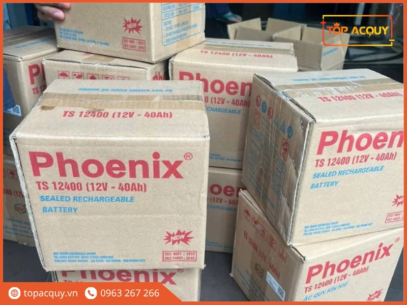 Lô thùng carton ắc quy Phoenix TS12400 12V 40Ah sẵn sàng tại kho
