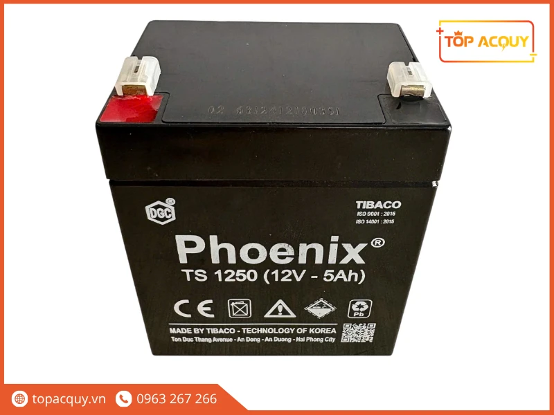 Cận cảnh thiết kế cọc cắm T10 bình Phoenix TS1250 12V 5Ah