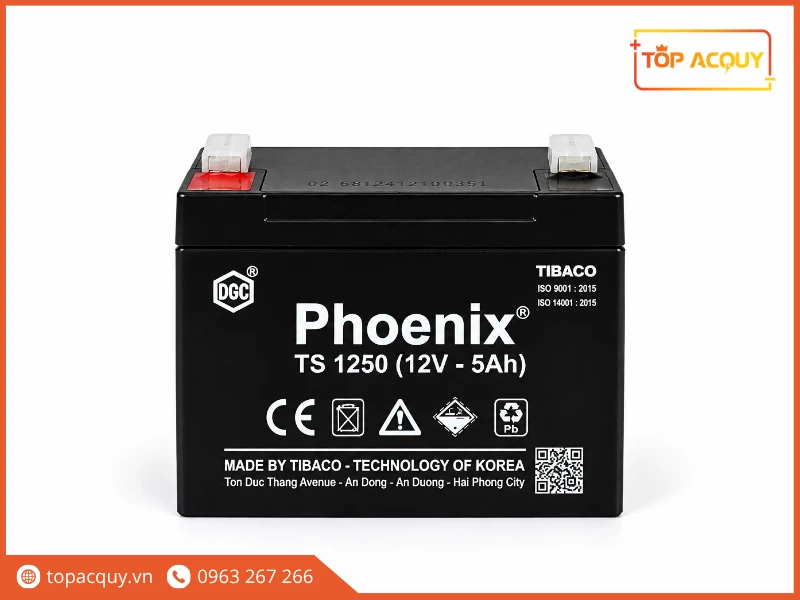 Mặt trước bình ắc quy viễn thông Phoenix TS1250 12V 5Ah chính hãng