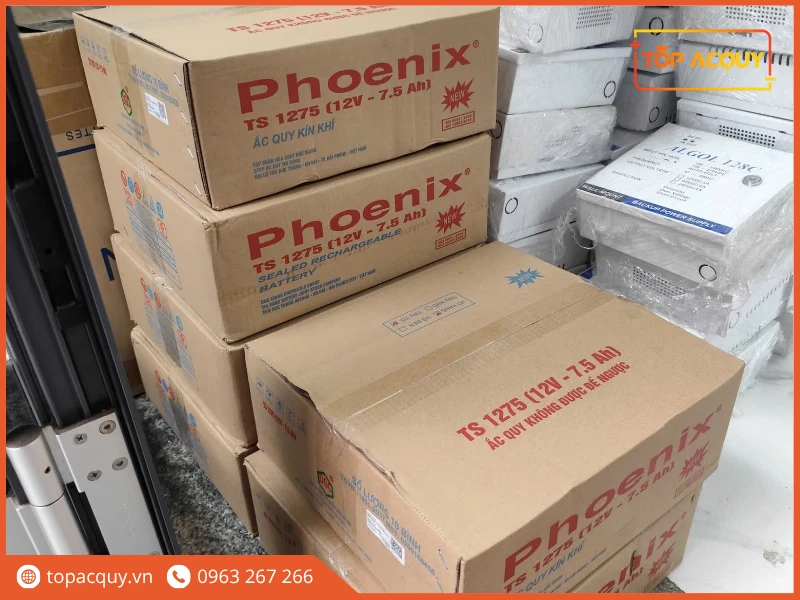 Thùng carton đóng gói bình ắc quy viễn thông Phoenix TS1275 tại Topacquy