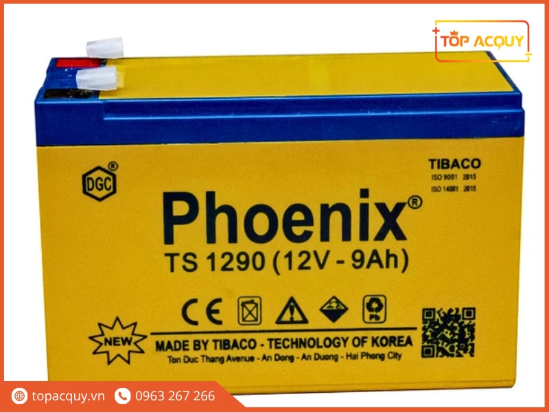 Mặt trước bình ắc quy viễn thông Phoenix TS1290 12V 9Ah chính hãng