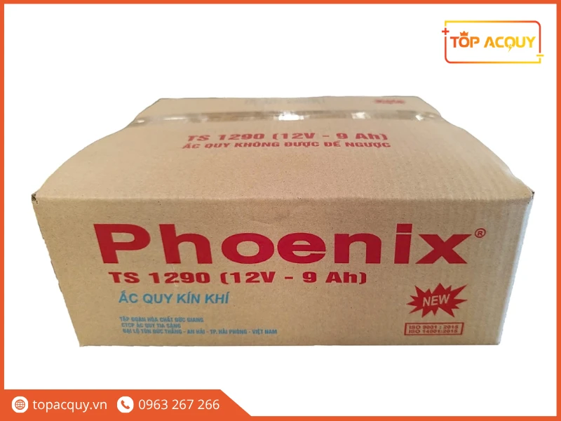 Hộp carton đóng gói bình ắc quy Phoenix TS1290 12V 9Ah chính hãng
