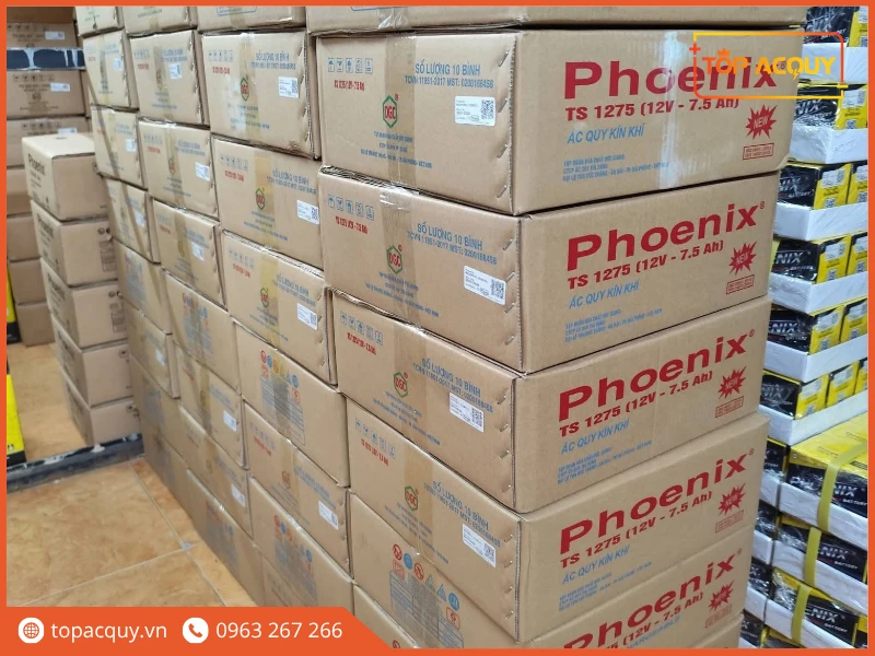 Kho hàng luôn sẵn số lượng lớn bình ắc quy Phoenix tại Topacquy