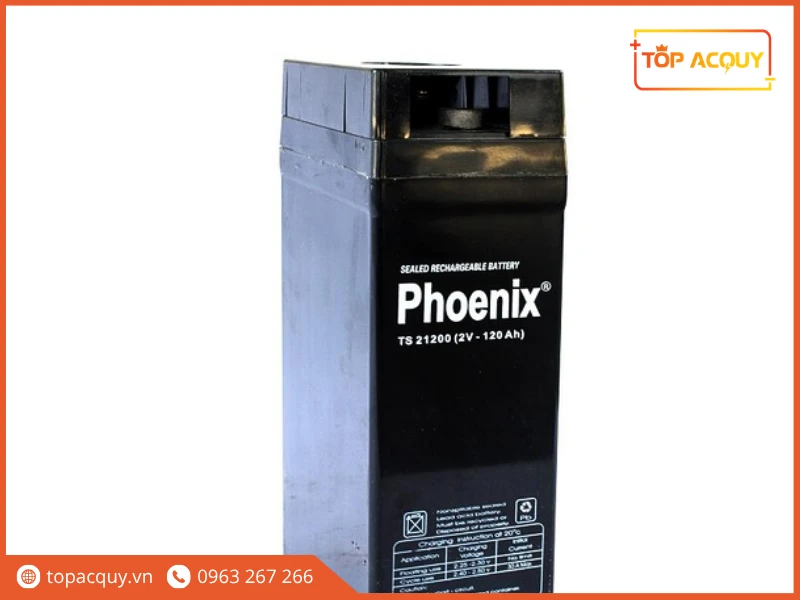 Bình ắc quy công nghiệp Phoenix TS21200 2V - 120Ah chính hãng