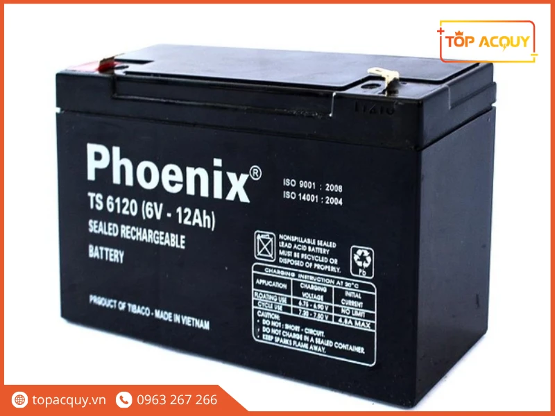 Góc nghiêng bình ắc quy viễn thông Phoenix TS6120 6V 12Ah tại Topacquy