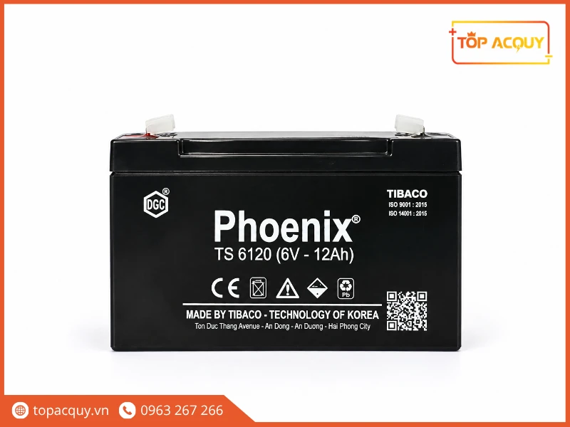 Mặt trước bình ắc quy Phoenix TS6120 6V 12Ah chính hãng Tia Sáng