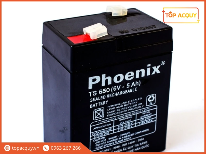 Mặt trước bình ắc quy viễn thông Phoenix TS650 6V 5Ah chính hãng Tia Sáng