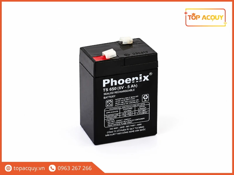 Cận cảnh thiết kế cọc cắm T10 bình Phoenix TS650 6V 5Ah tại Topacquy