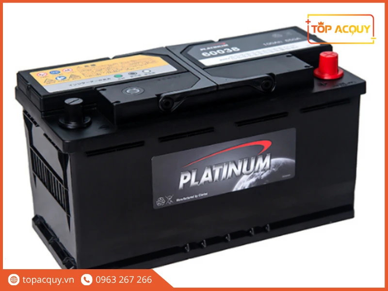 Thiết kế cọc chìm tiêu chuẩn DIN LN5 trên bình Platinum 60038