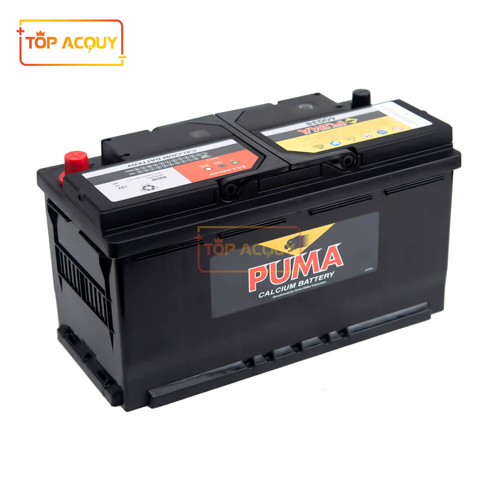Ắc quy Puma 100AH 60038