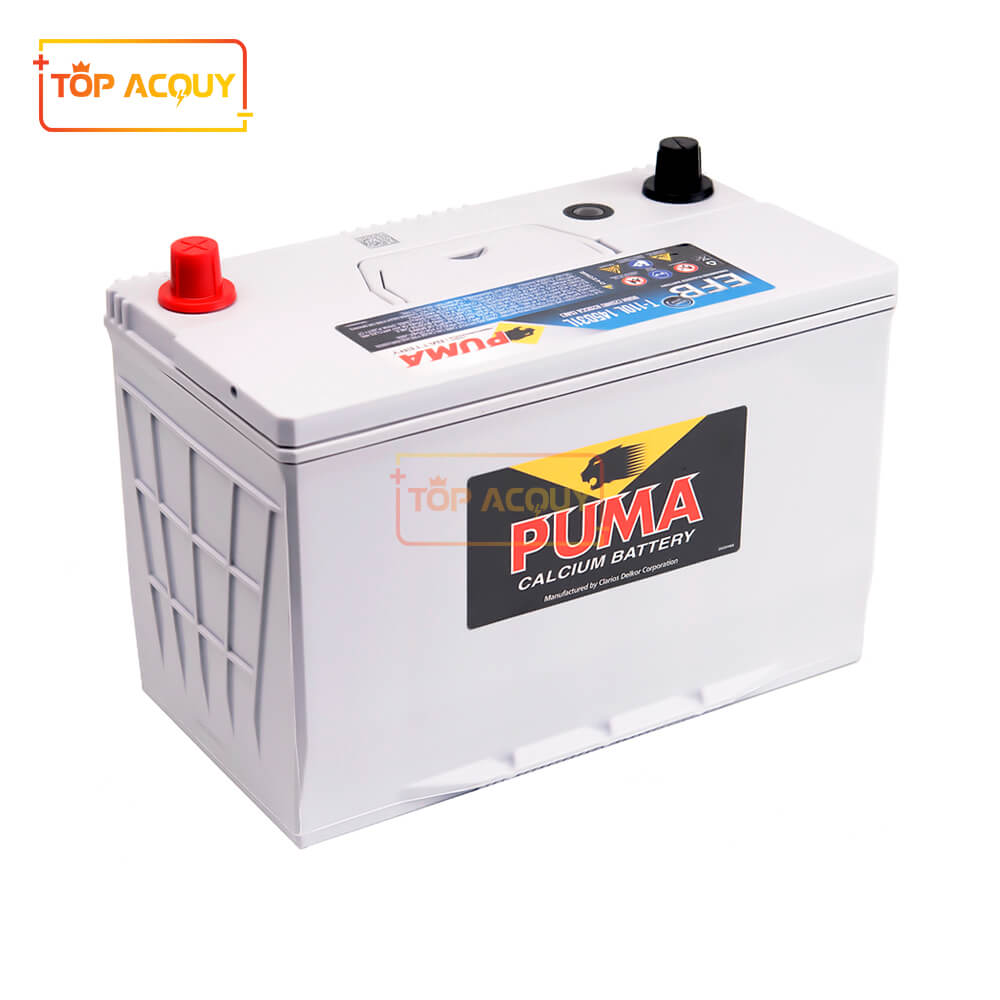 Ắc quy Puma 90AH T-110L