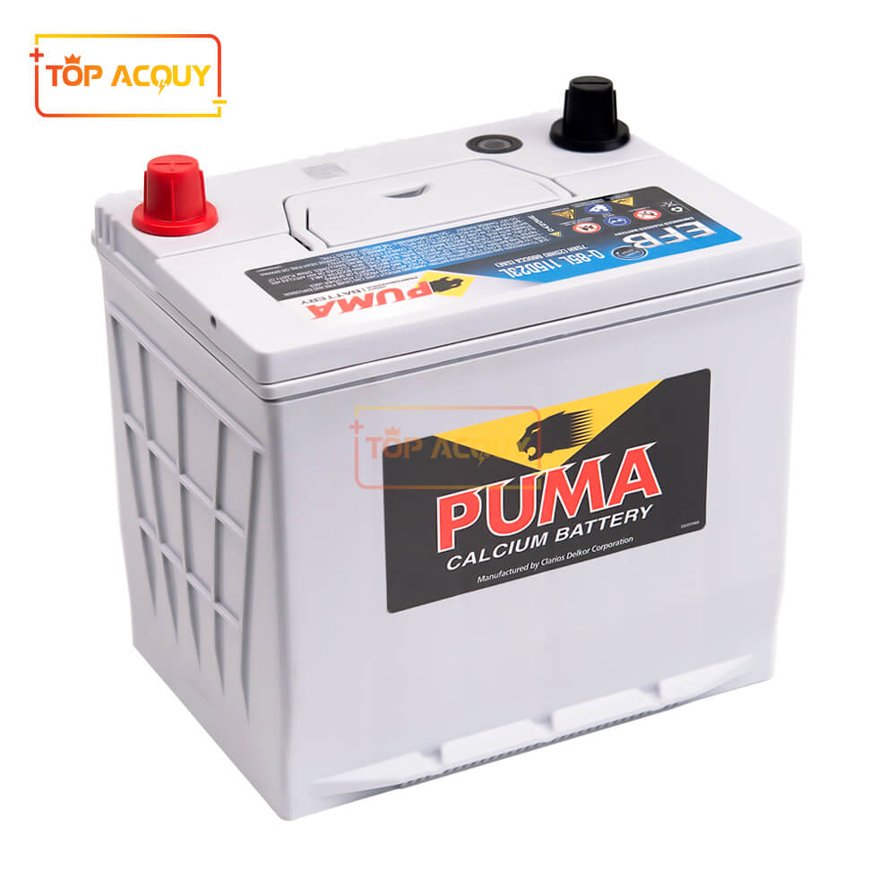 Ắc quy Puma Q85 115D23L