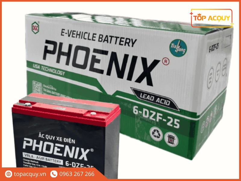 Trọn bộ bình và vỏ hộp ắc quy xe điện Phoenix 6-DZF-25 tại Topacquy