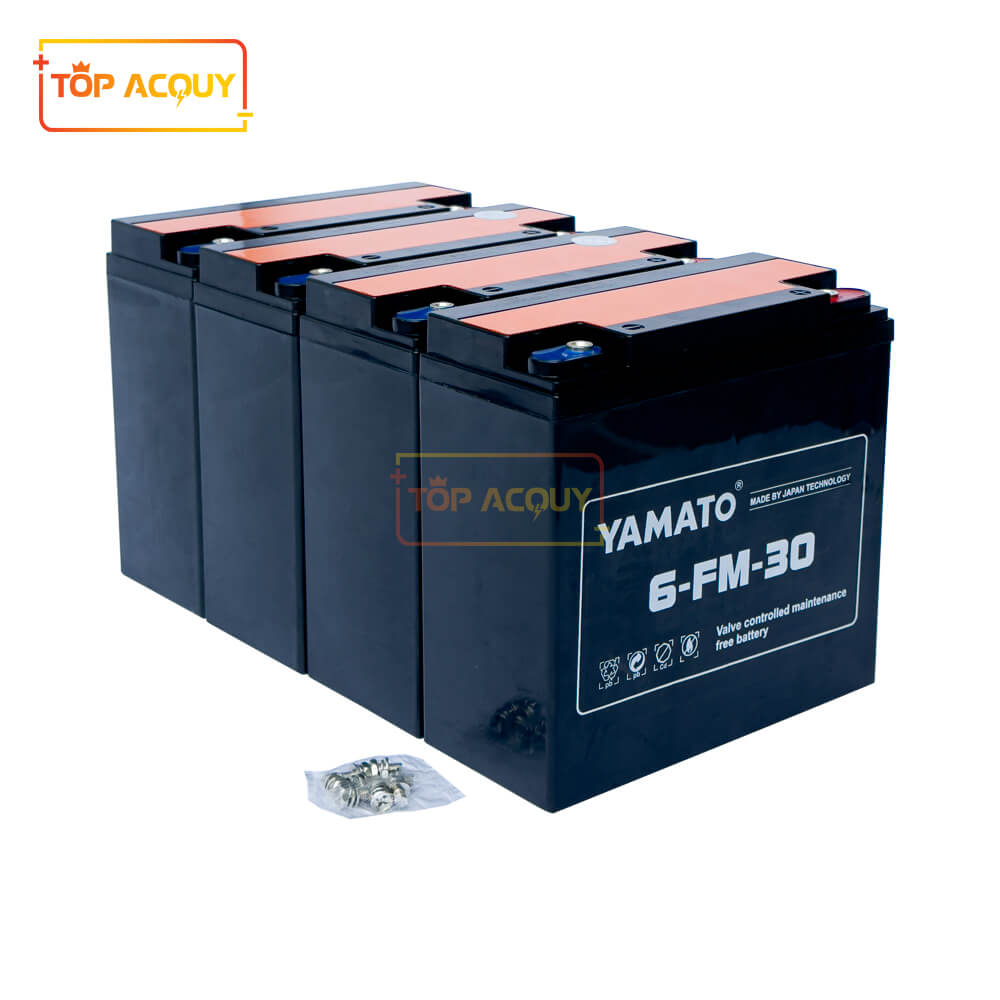 Bộ 4 bình ắc quy xe máy điện 30Ah Yamato 6-FM-30 