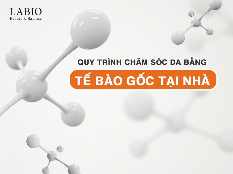 Quy Trình Chăm Sóc Da Bằng Tế Bào Gốc Tại Nhà