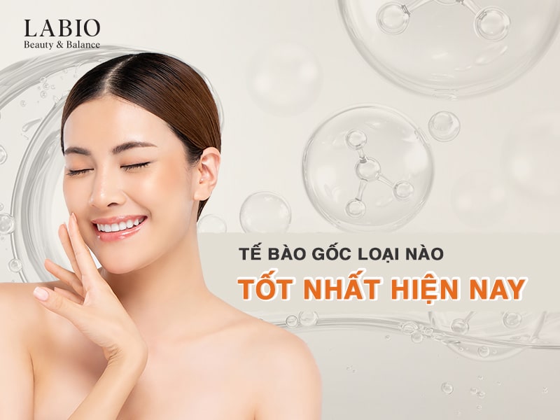 Tế Bào Gốc Loại Nào Tốt Nhất Hiện Nay?