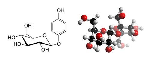 Alpha Arbutin là chất gì?