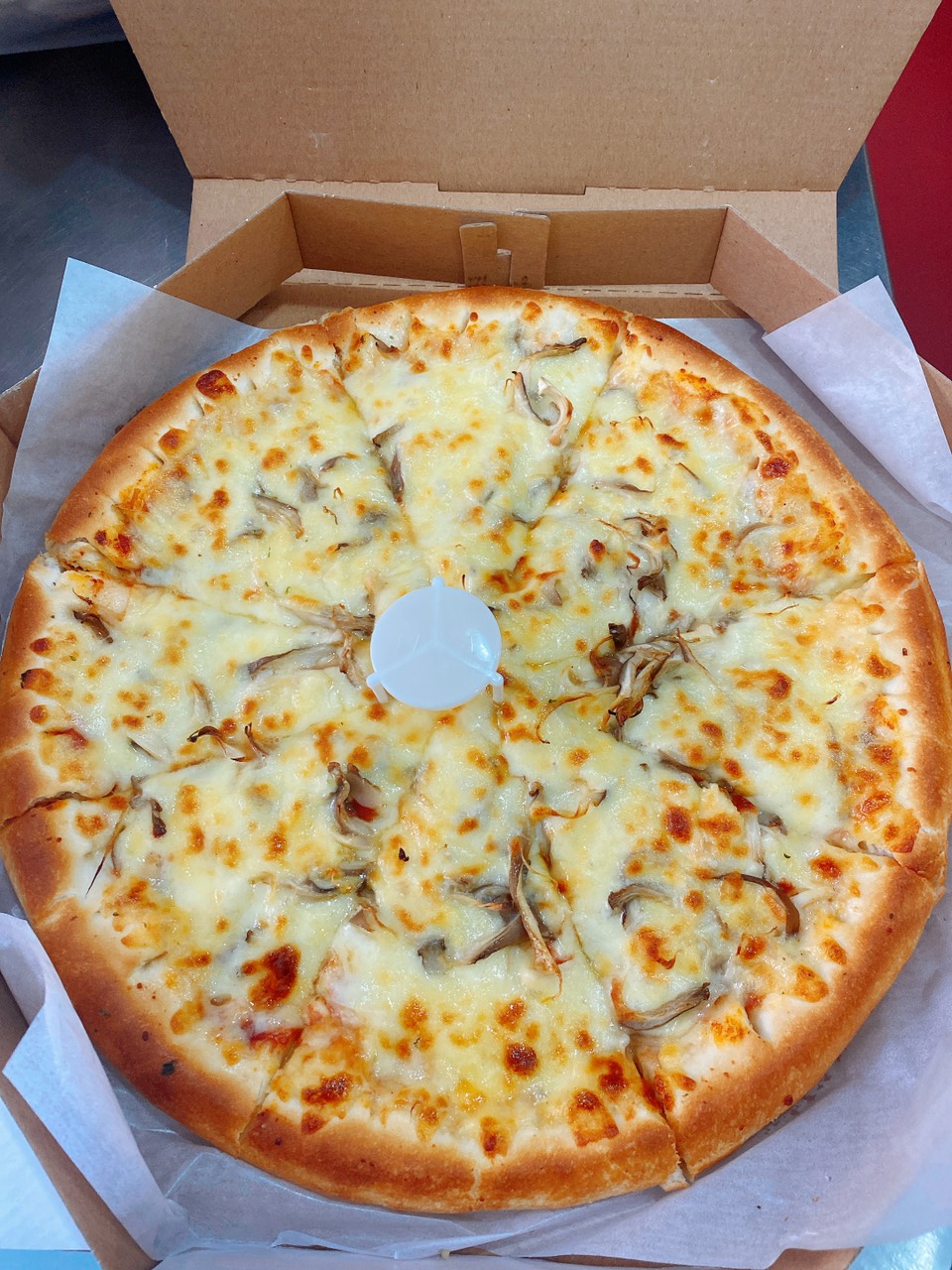 PIZZA RAU ( VEGETABLE PIZZA)