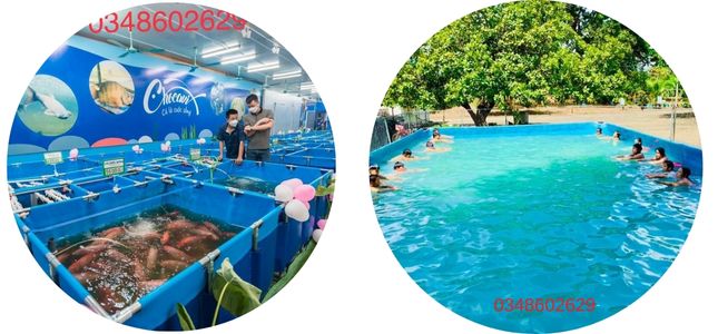 Mai Sơn - Bể Bơi giá rẻ