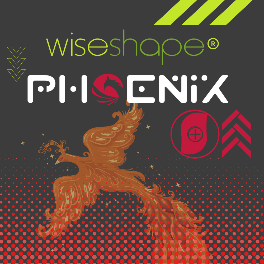 Trâm nội nha WiseShape® Phoenix