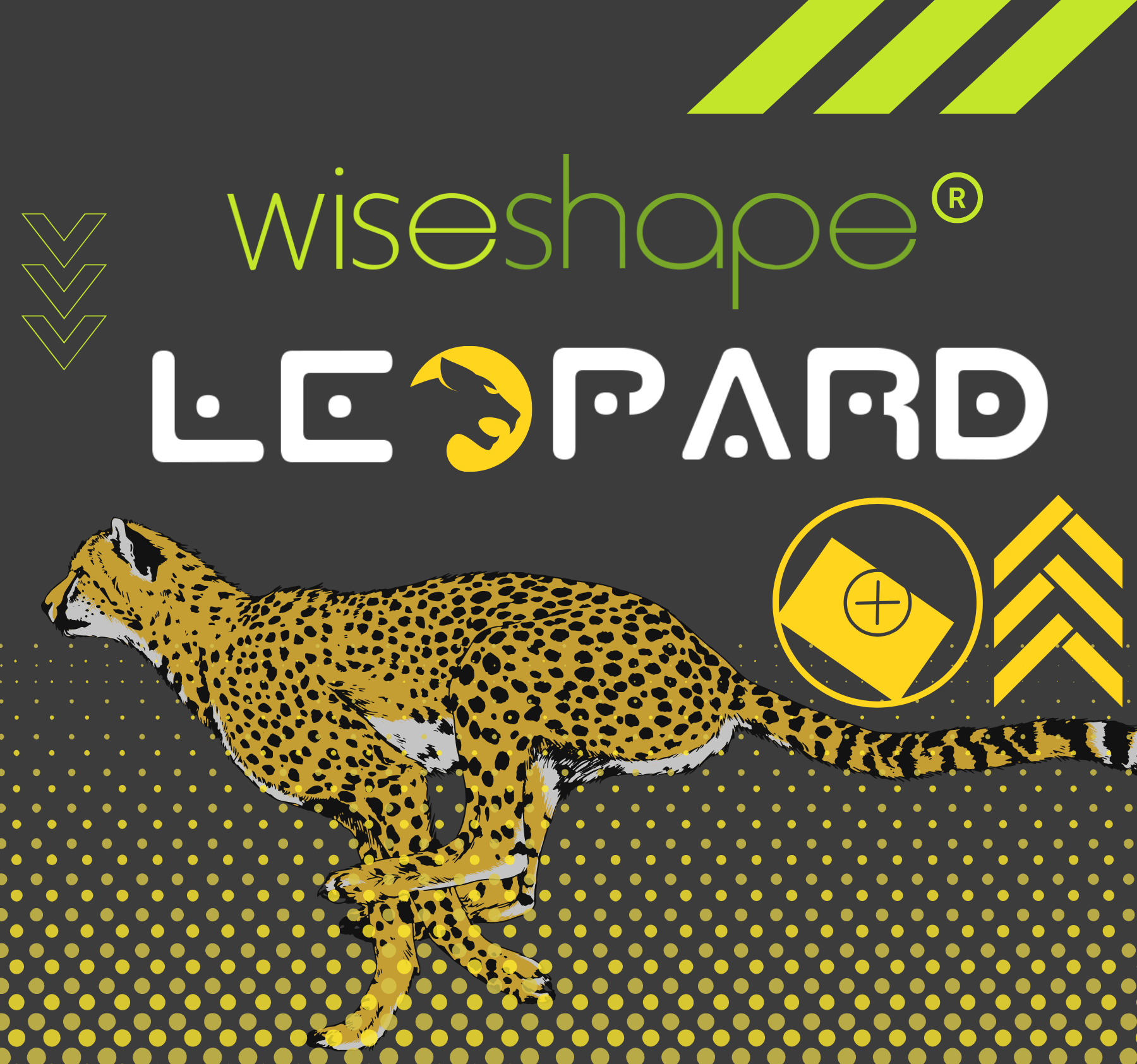 WiseShape Leopard