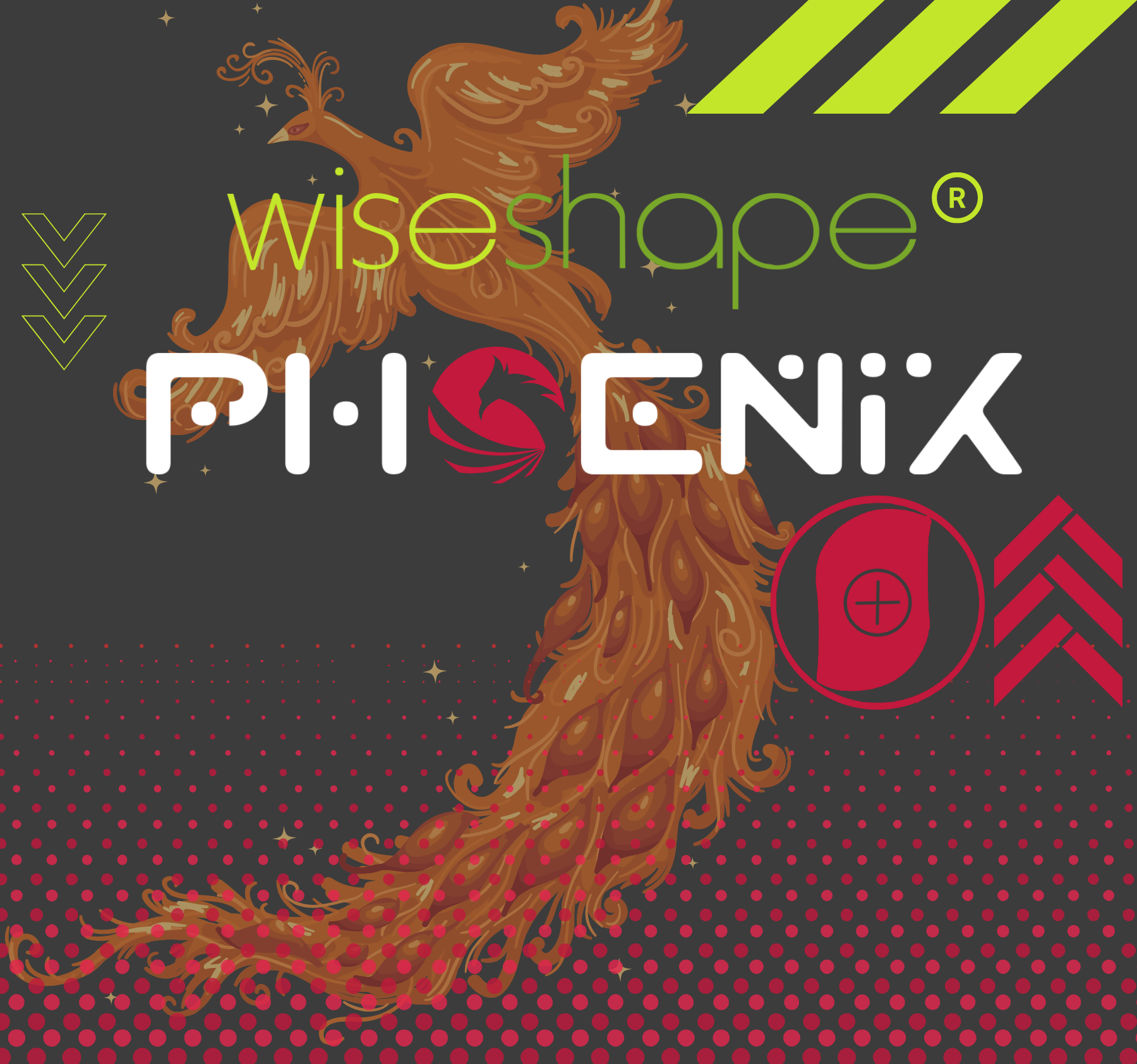 WiseShape Phoenix